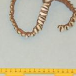 168