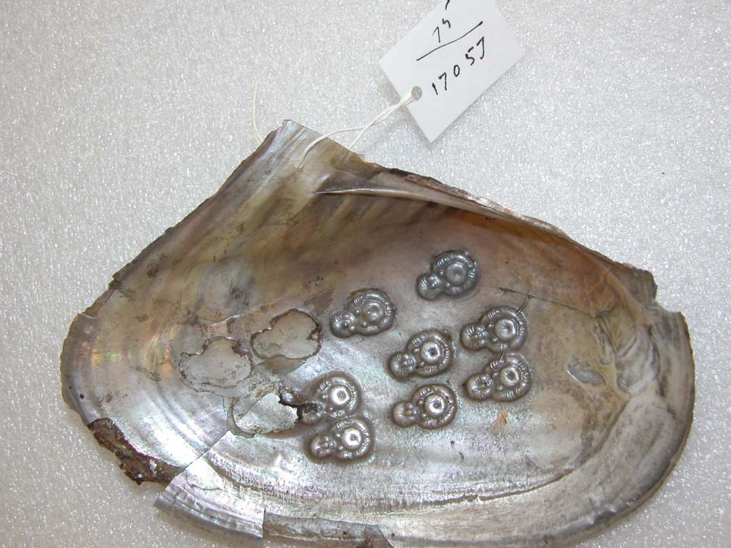 429