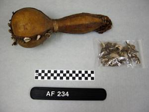 AF234