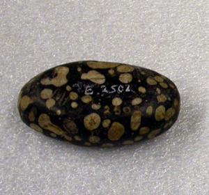 B2502