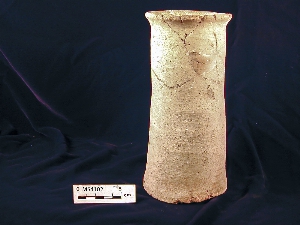 MS4102