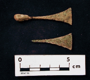MS4196