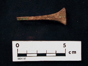 MS4197