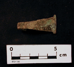 MS4198