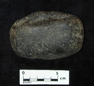 MS4511