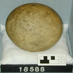 18588.1
