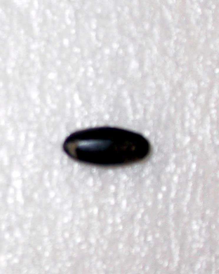 6618