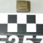 7981