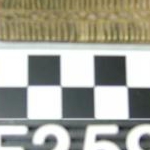 7998