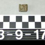 8144