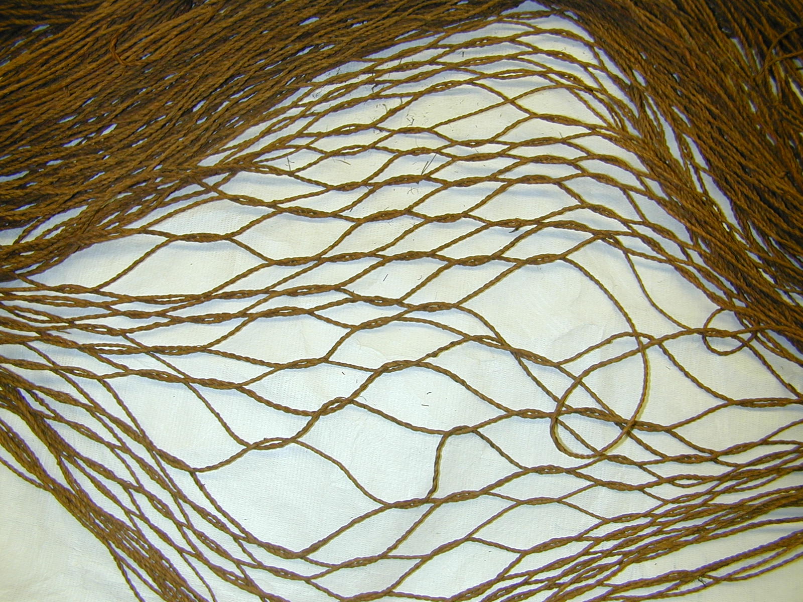 8769