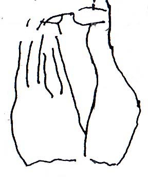 9080