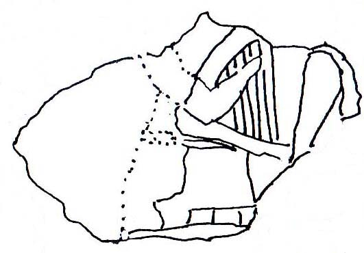 9081