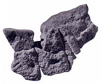 9096