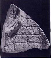 9104