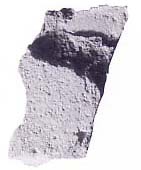 9170