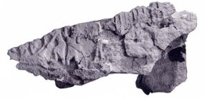 B16676.12B