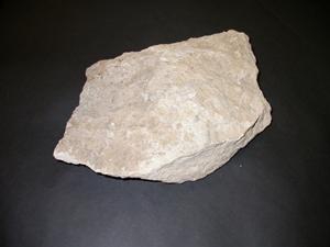 9562