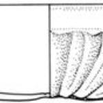 10006