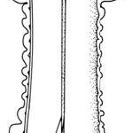 10035
