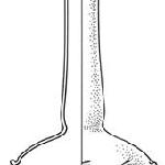10052