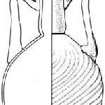10078