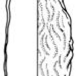 10153