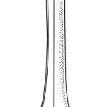 10202