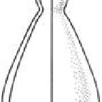 10204