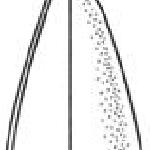 10255