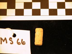 MS66
