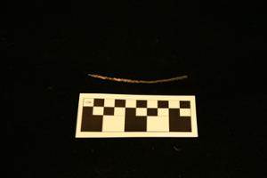MS175