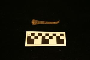 MS191