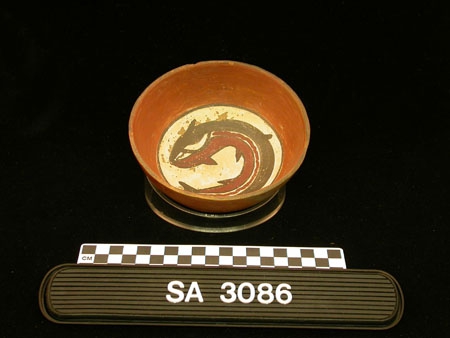 11861