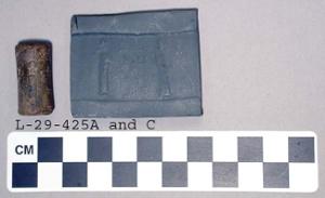 L-29-425C