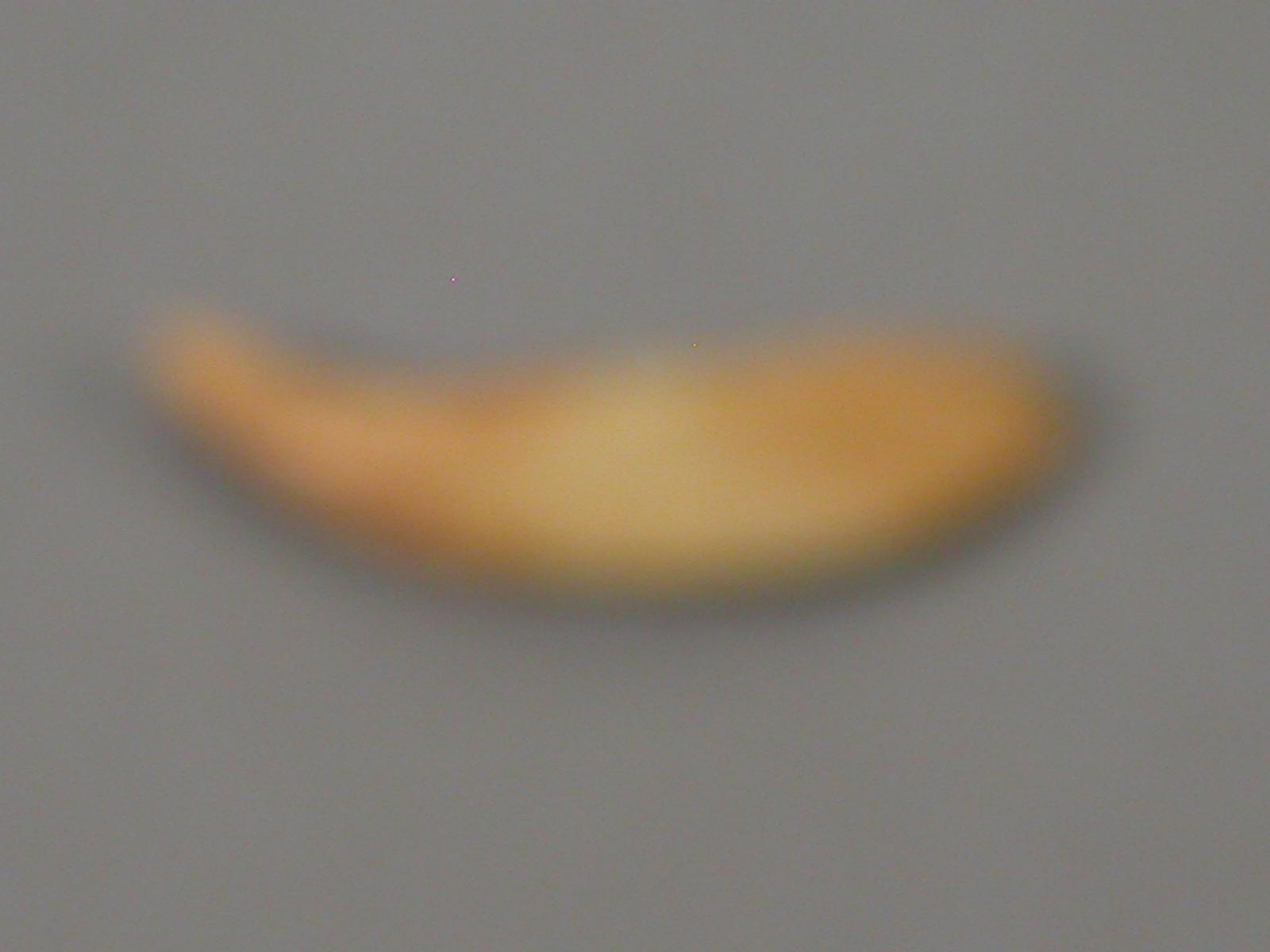 13610