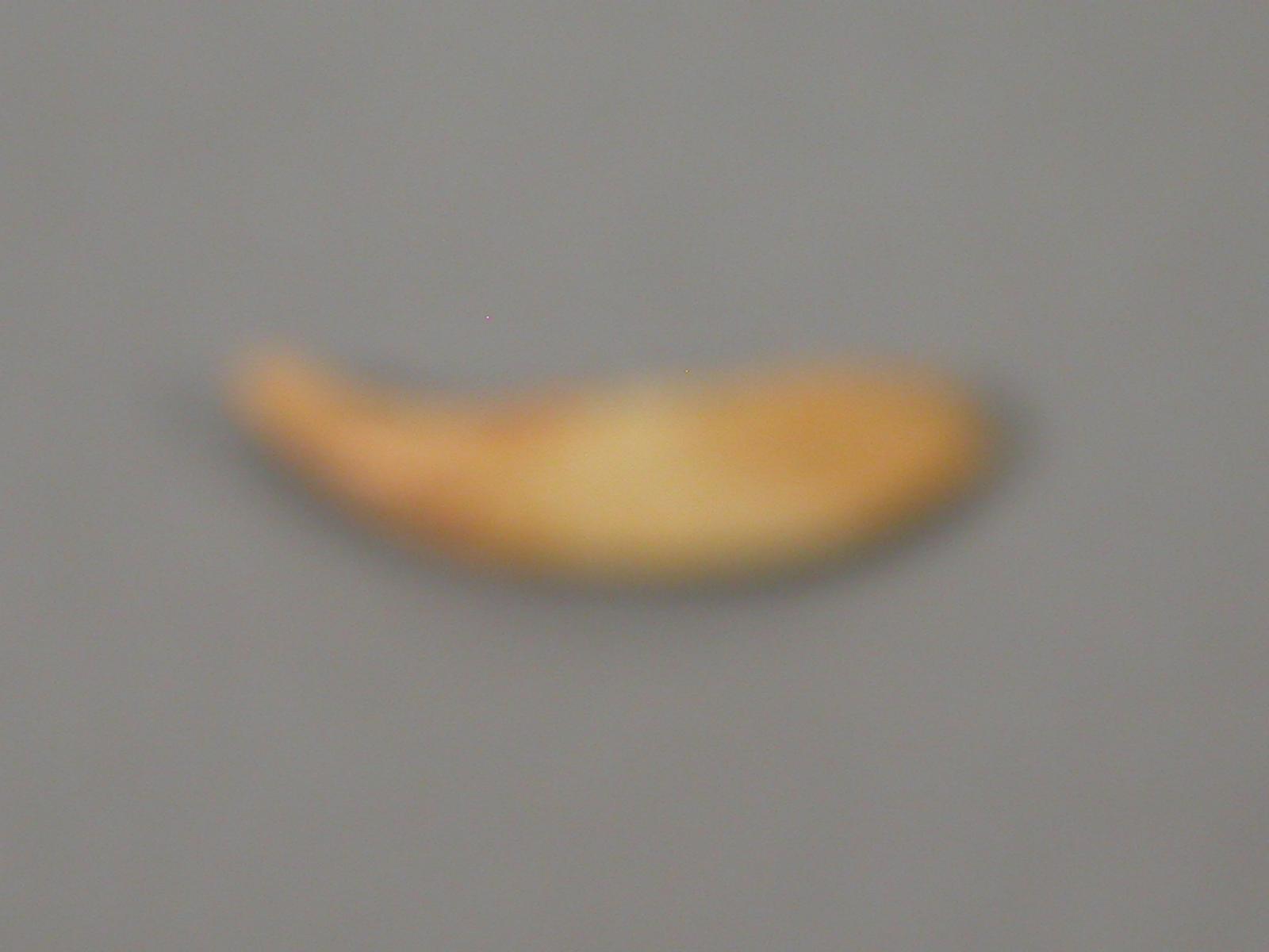 13611