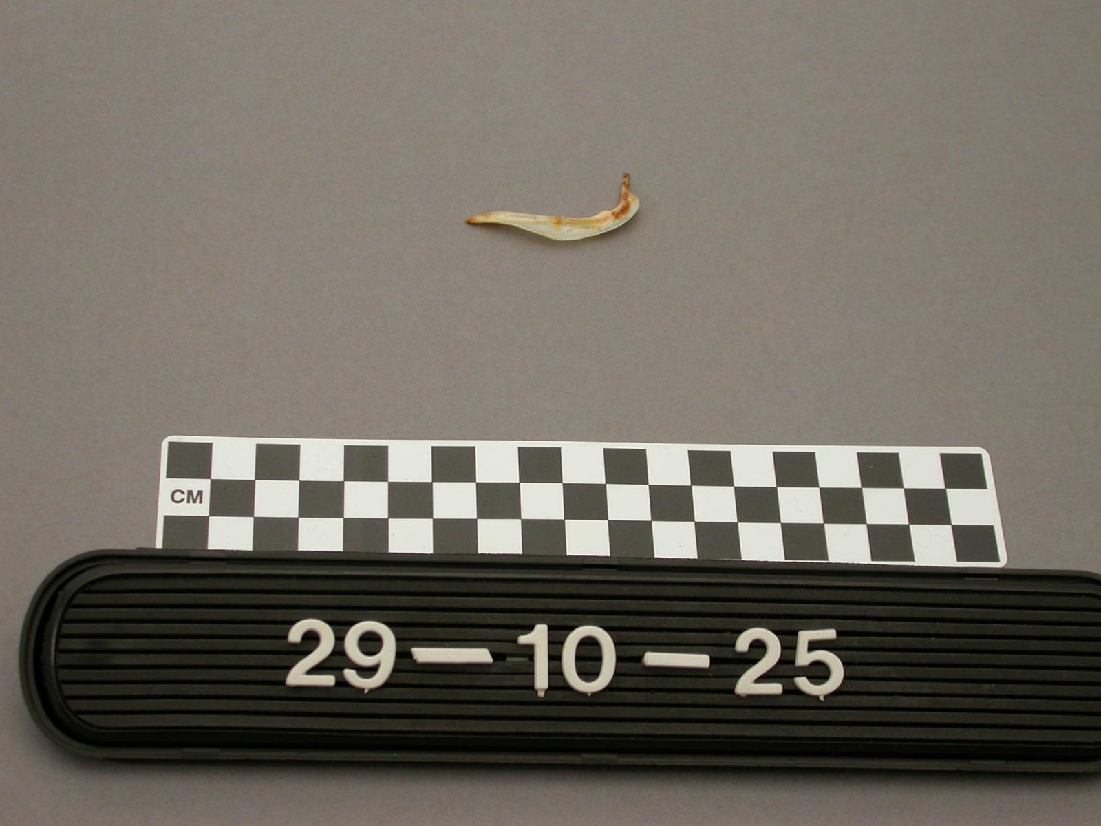 13620