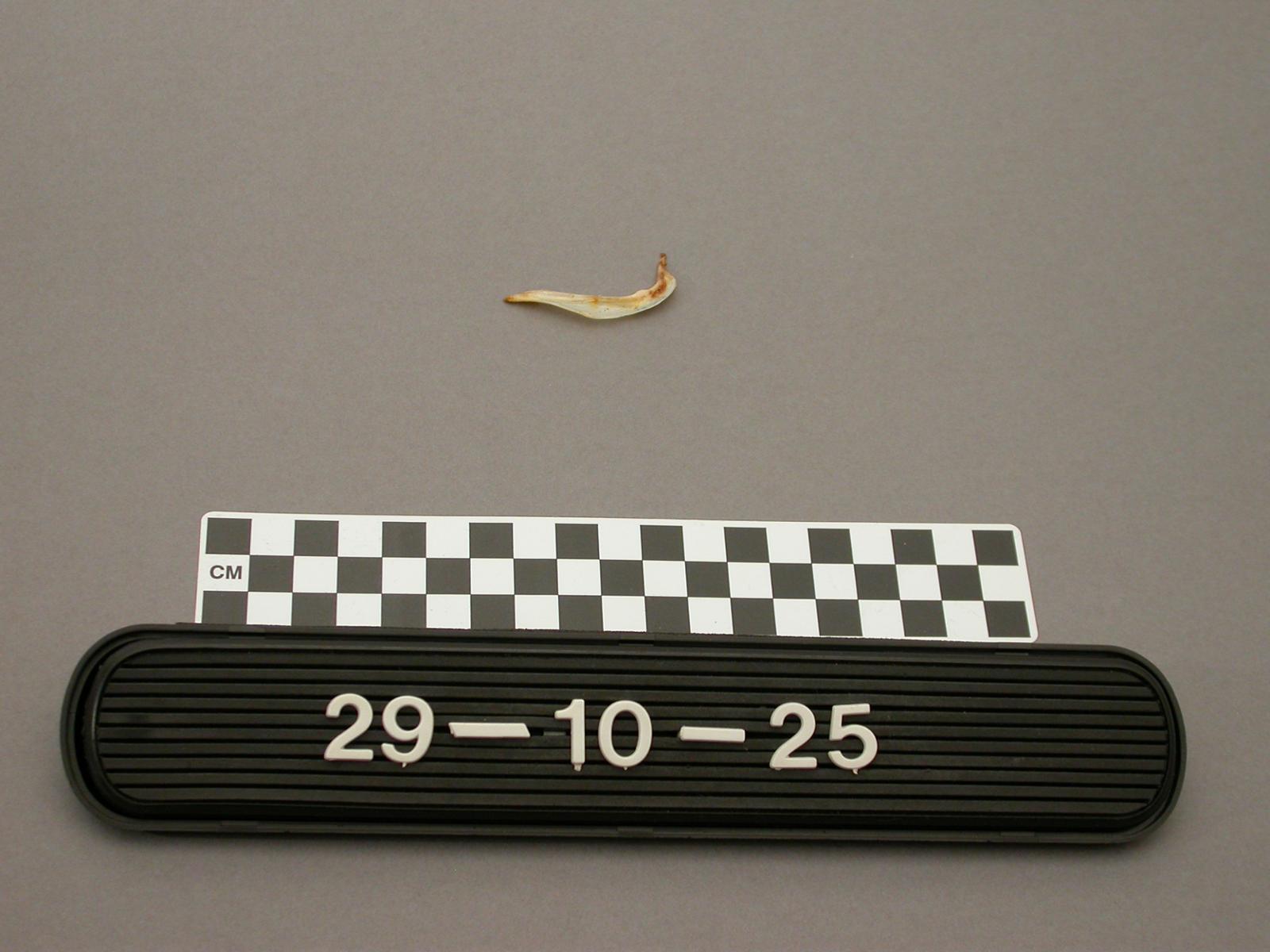 13621