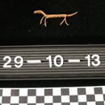 13663