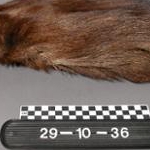 13941