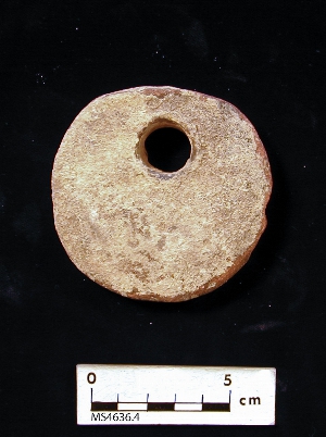 MS4636.4