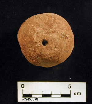 MS4636.81