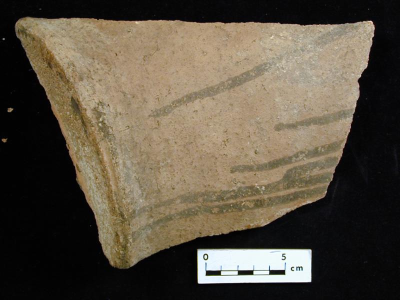 16305