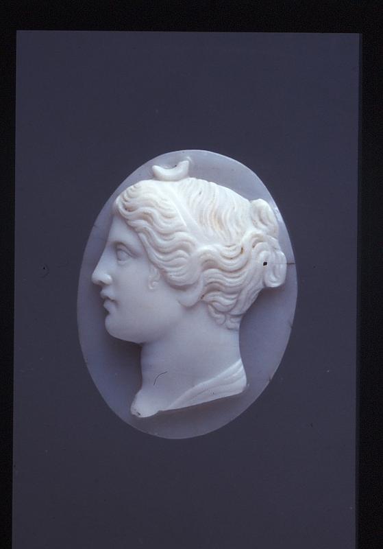 16876