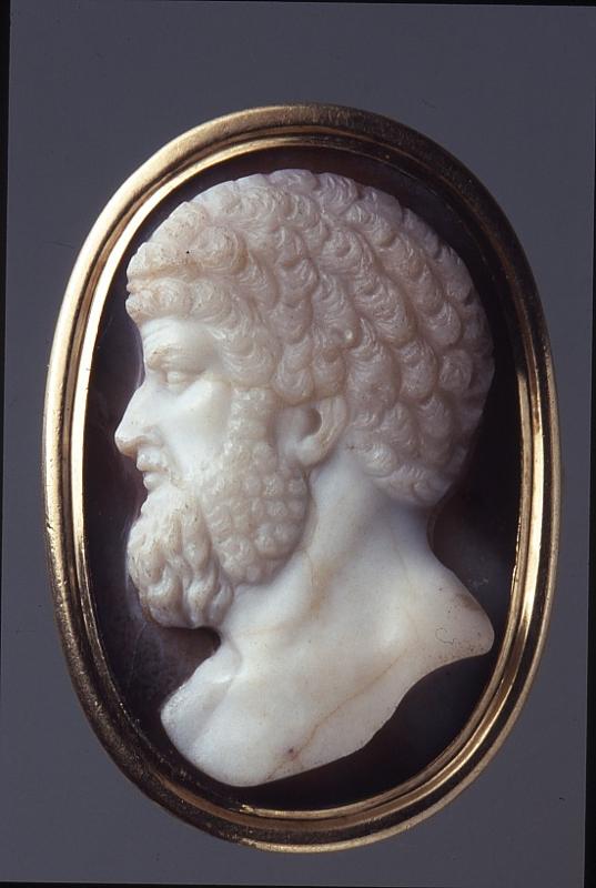 16954