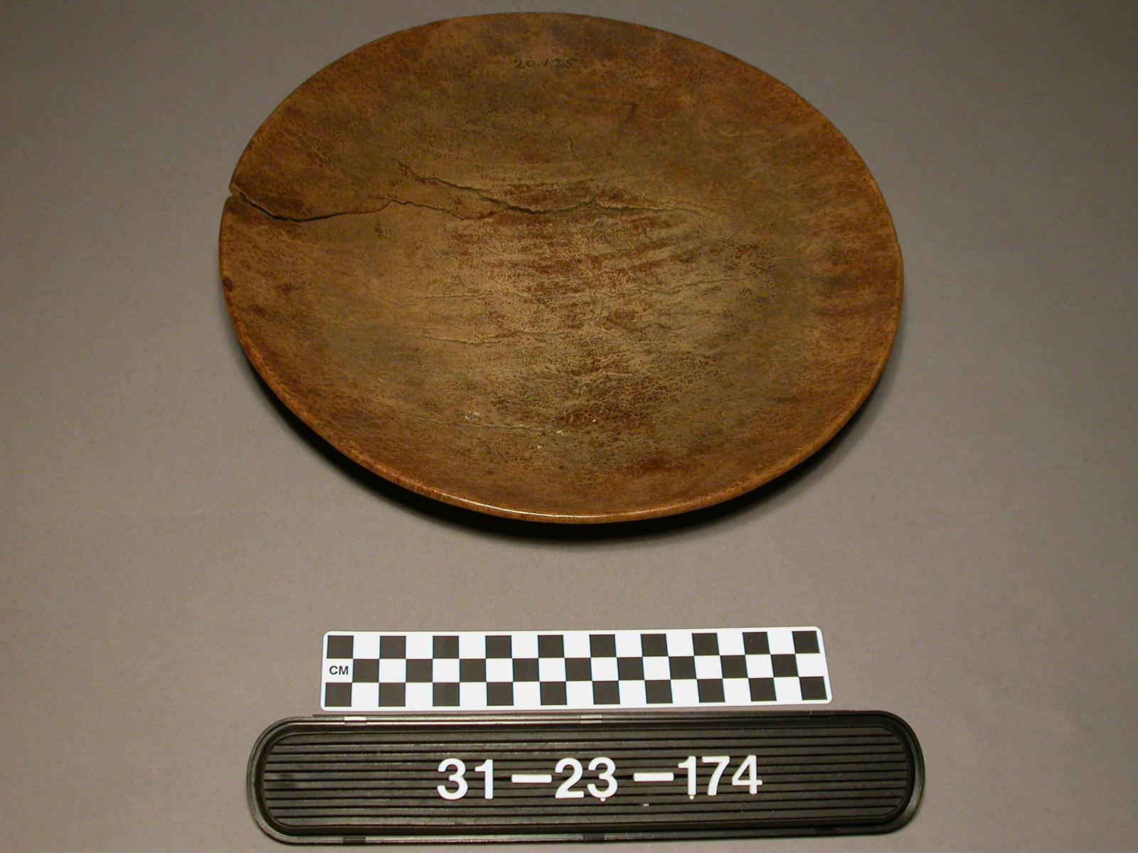 16974