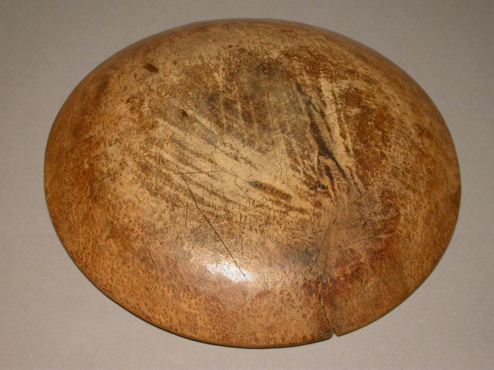16976