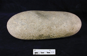 MS4553