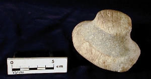 MS4558
